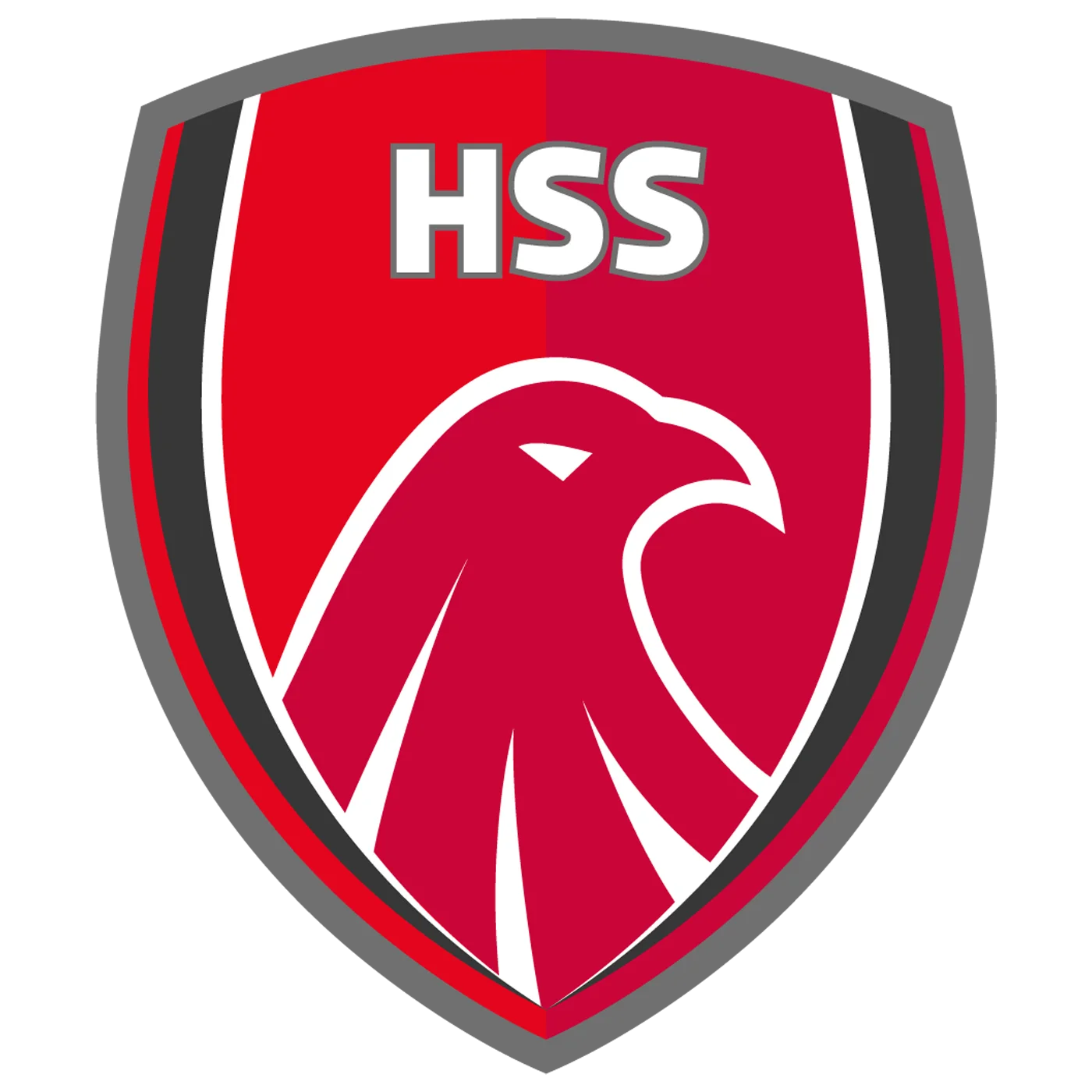 HSS-logo-Source Black Background